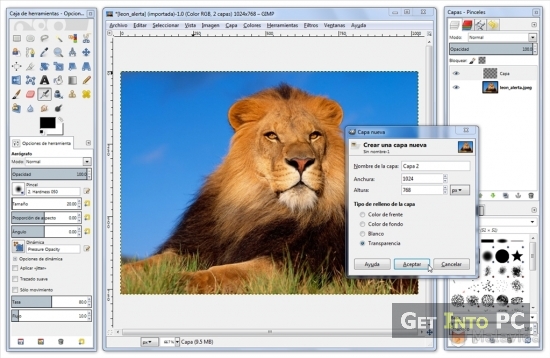 Gimp Mac High Sierra Download
